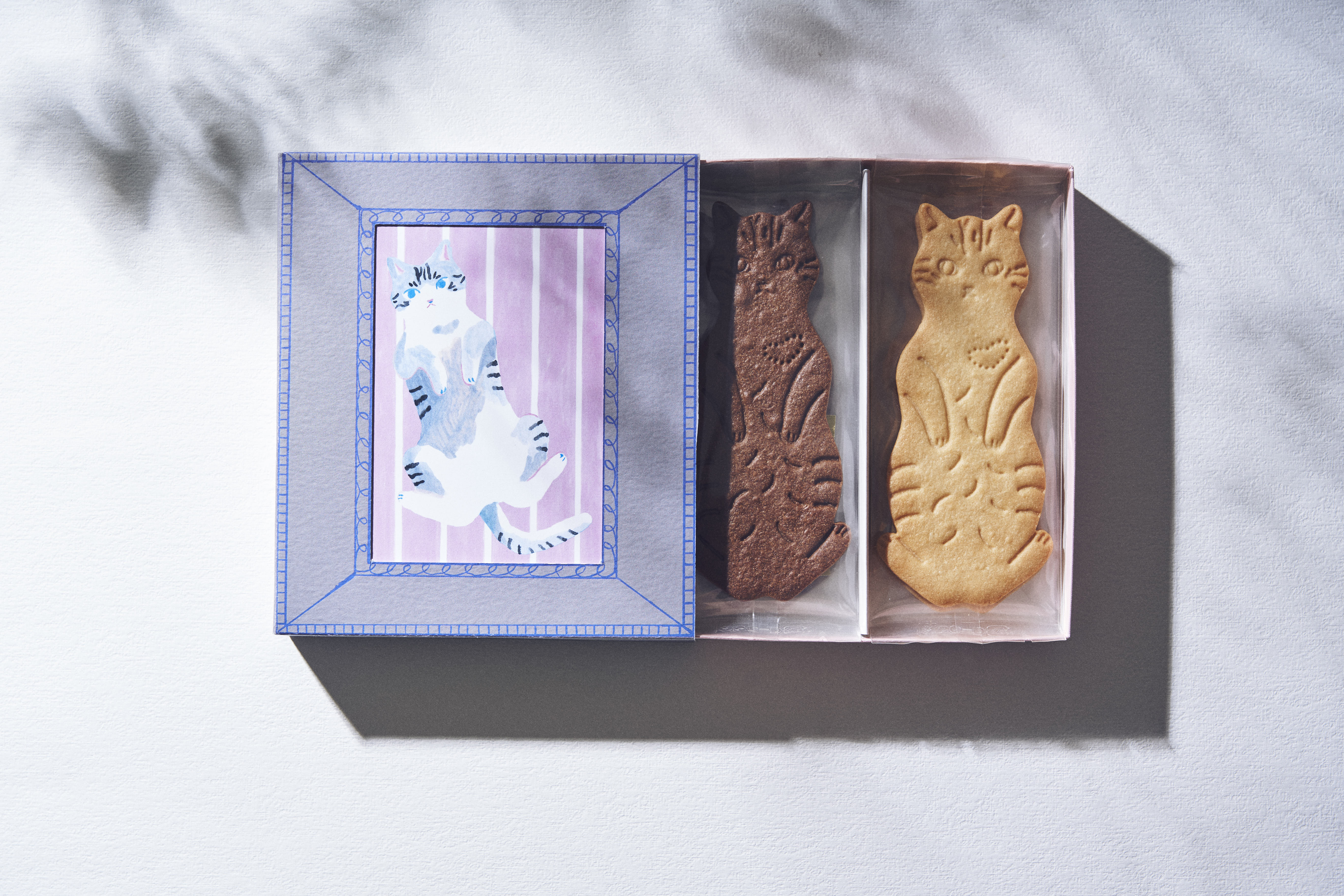 私の好きとサステナブル。“食べ終わっても可愛く使える” 坂本美雨さんの愛猫モチーフ大判ネコクッキー＆リユース可能パッケージ「LetterBOX cat cookie」新発売！のサブ画像1