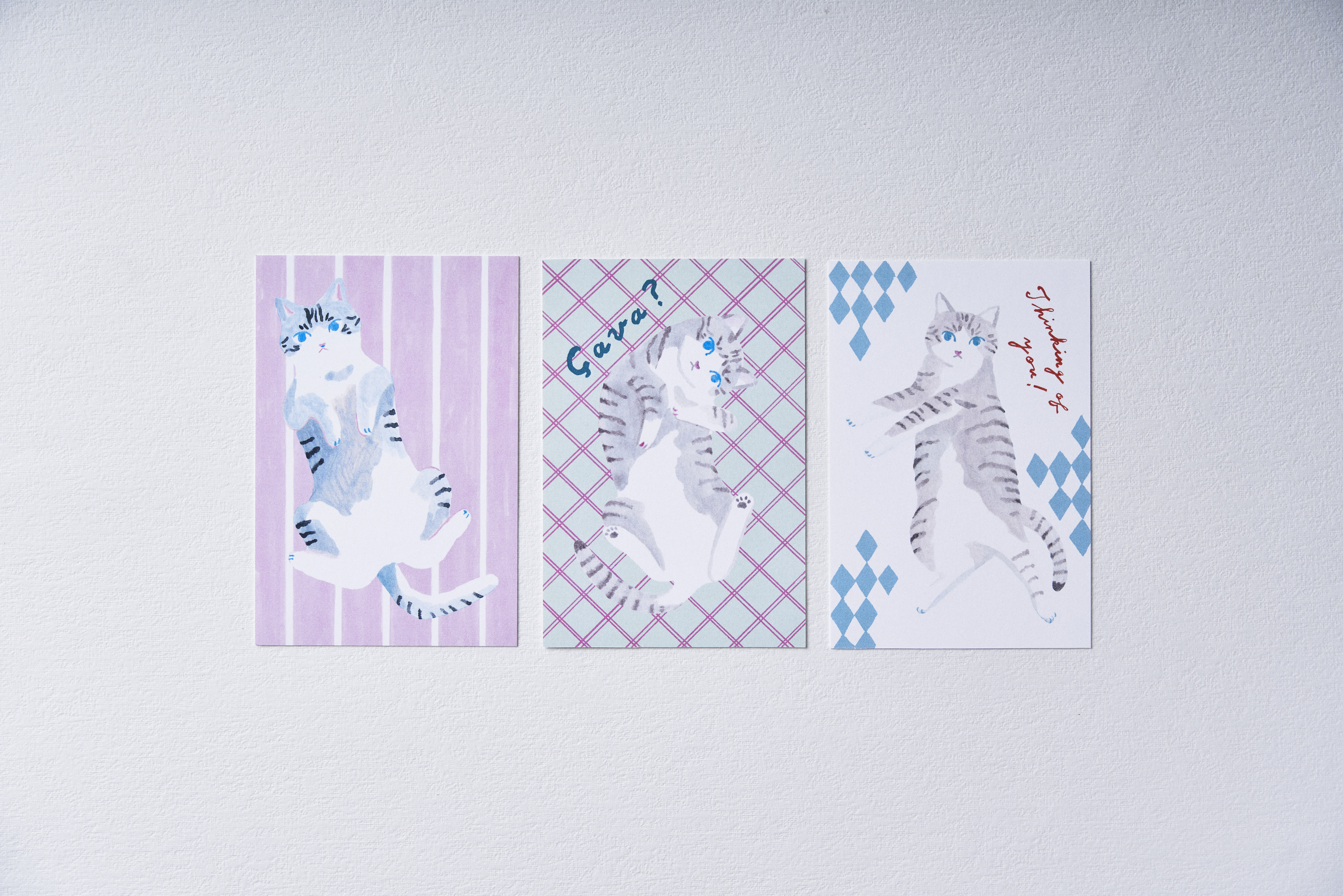 私の好きとサステナブル。“食べ終わっても可愛く使える” 坂本美雨さんの愛猫モチーフ大判ネコクッキー＆リユース可能パッケージ「LetterBOX cat cookie」新発売！のサブ画像6