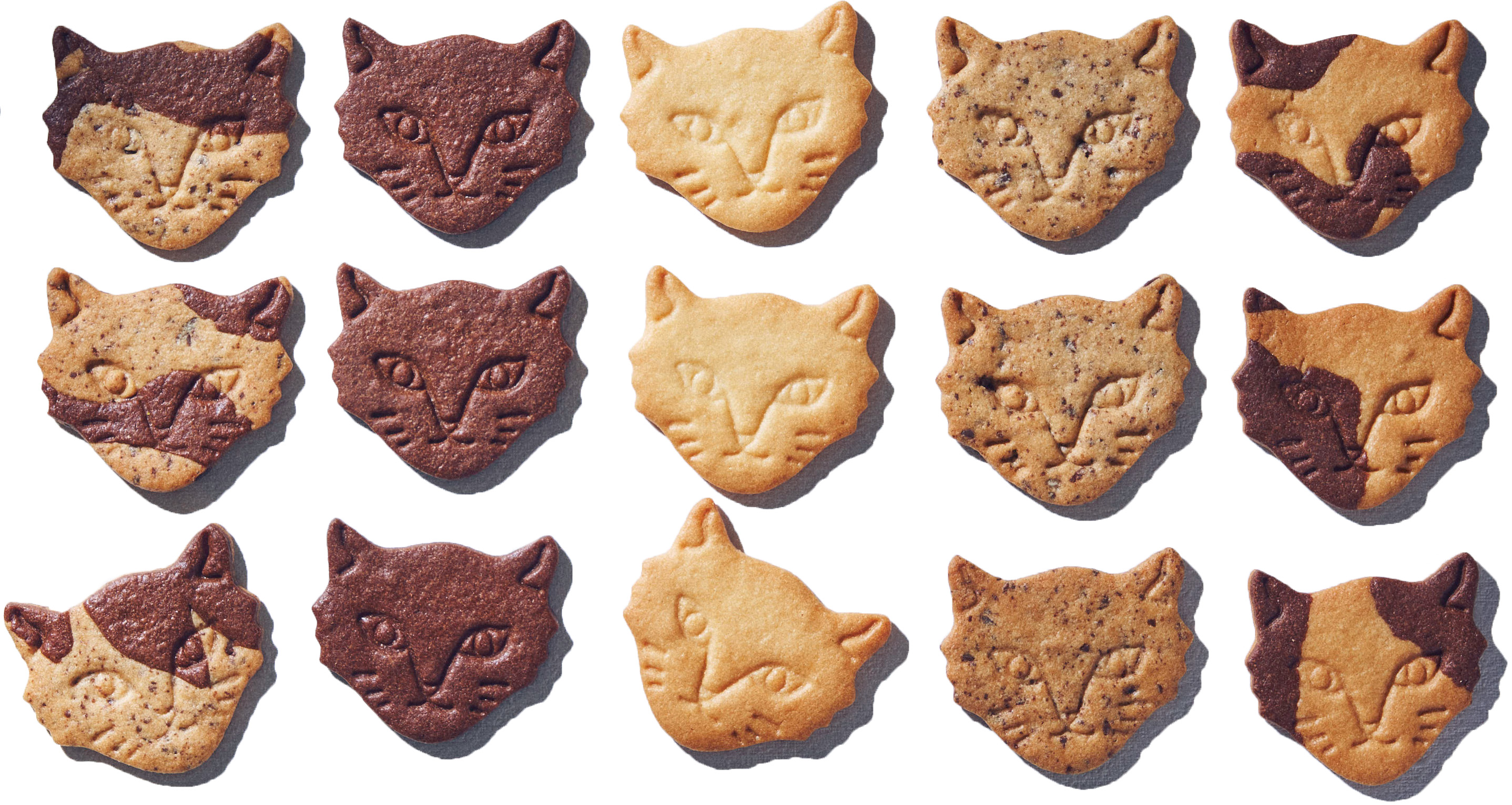 “神様のいたずら”がテーマの世界に一つだけのネコクッキー「Miracle Cat Cookie Tin」新発売！輝く個性一つ一つ、多様性社会に寄り添う手づくりネコクッキー缶。のサブ画像3