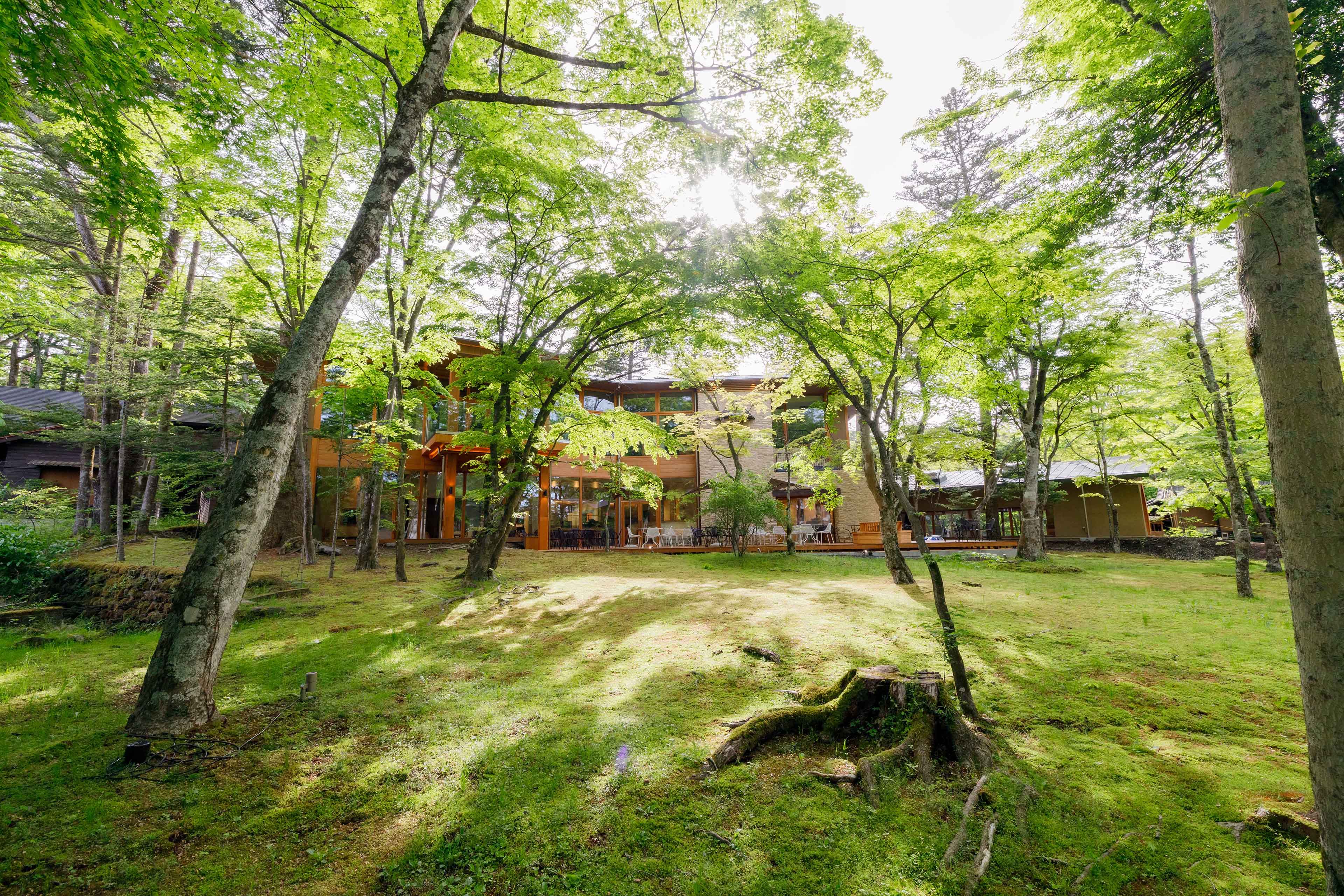 軽井沢を五感で味わう、東京ばな奈グループの新業態レストランがプレオープン。森の中の幻想的な新名所『クレソンリバーサイドストーリー旧軽井沢』のサブ画像1