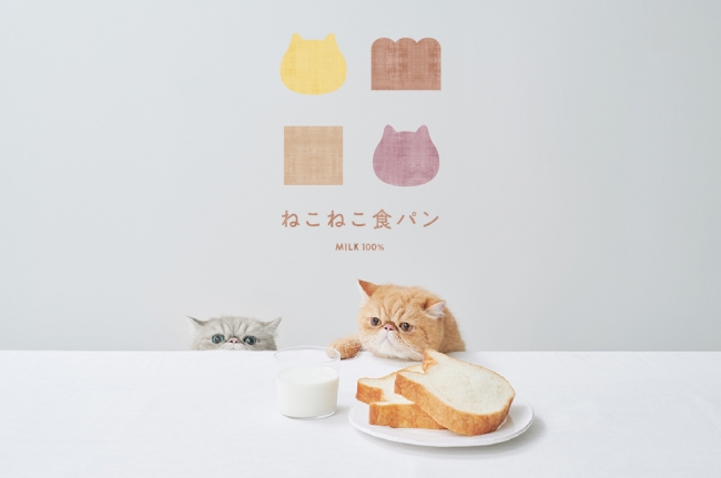 【石川県に初出店】「Heart Bread ANTIQUE（ハートブレッドアンティーク）」および「ねこねこ食パン」、「ねこねこチーズケーキ」がイオンモール白山にオープン！のサブ画像6