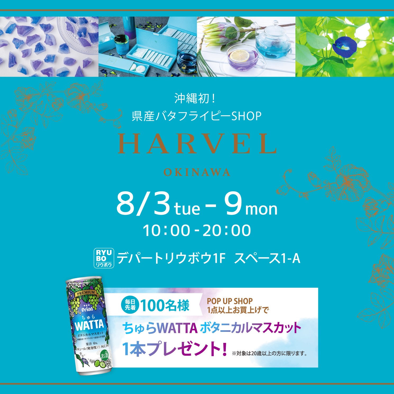 沖縄県産バタフライピーを使用した新ブランド「HARVEL OKINAWA（ハーベルオキナワ）」誕生！のサブ画像11