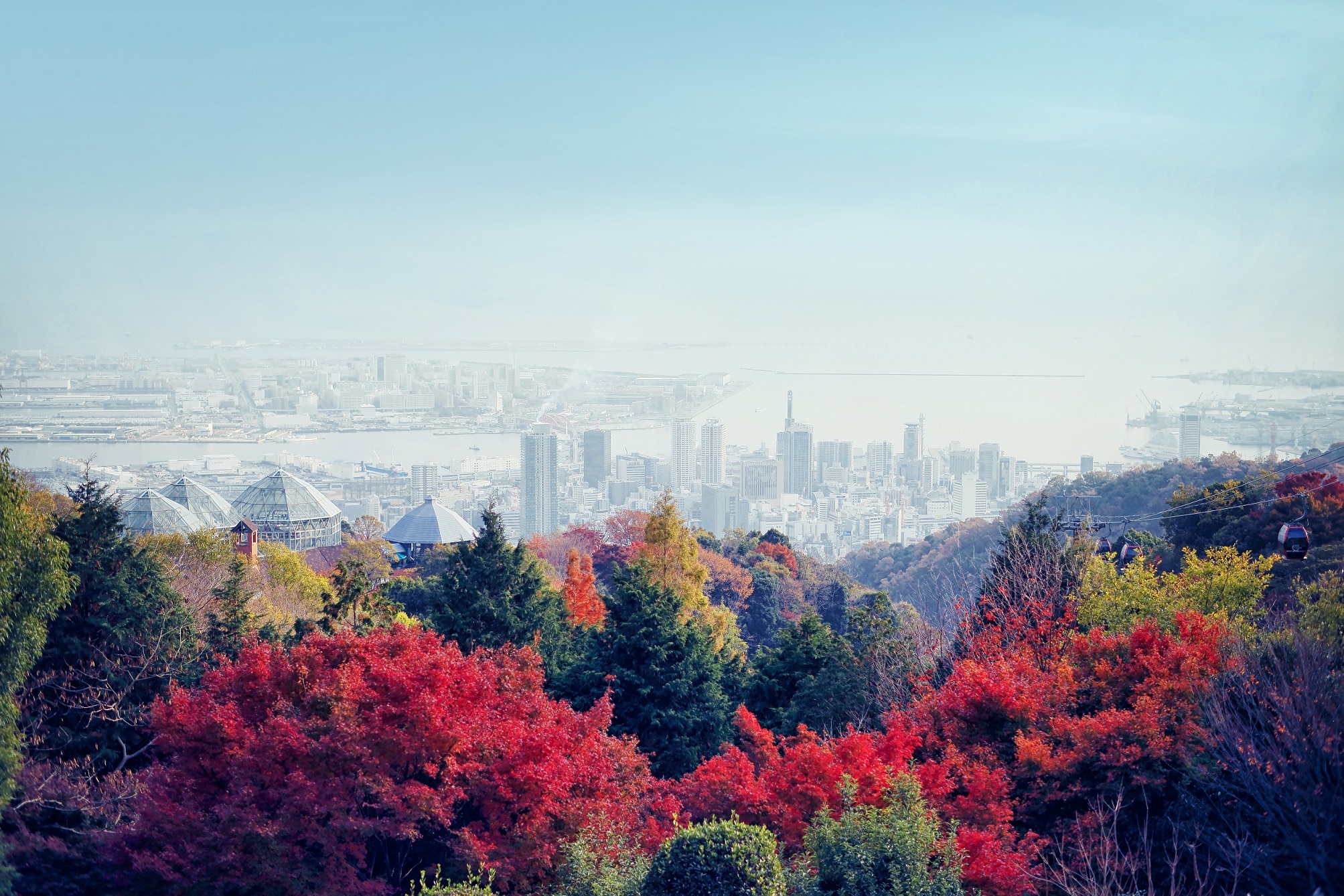 都会の山上リゾート「神戸布引ハーブ園」で「収穫の秋フェア」を開催中！秋色に色づくガーデンや山々に囲まれ、「秋の味覚」を堪能いただけます。秋の果物をふんだんに使ったオリジナルスイーツなどが登場します。のサブ画像2_布引の紅葉　11月上旬-12月上旬