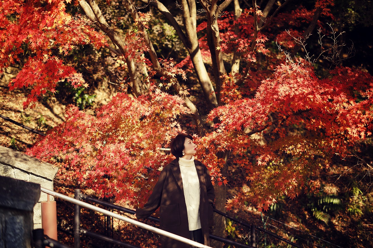 秋が訪れる、山上のリゾート”神戸布引ハーブ園”で「Garden Fest 2021-Autumn-」がスタート。爽やかな風、秋のグルメ、安心の屋外、のんびり秋散歩で日常を離れ”特別な秋”を！のサブ画像4_布引の紅葉