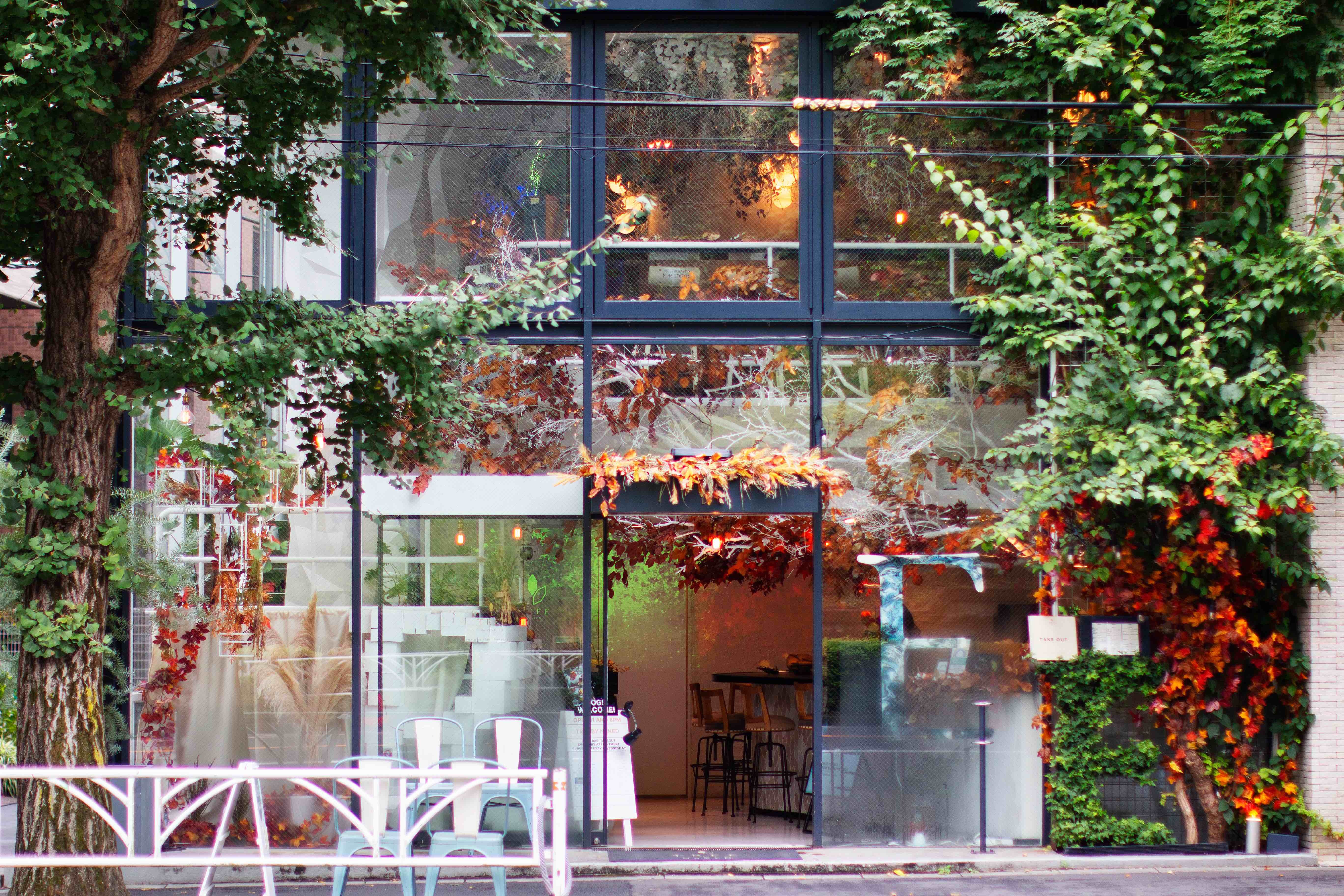 都心の紅葉スポット代々木公園のカフェ「TREE by NAKED」、よりドッグフレンドリーにのサブ画像10