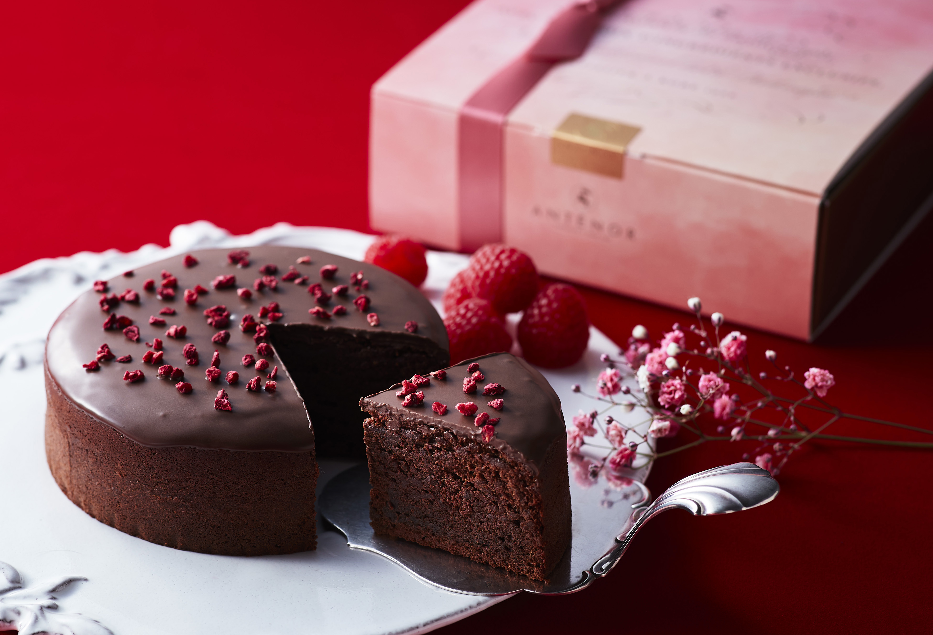 ＜バレンタイン限定＞アンテノールから希少なカカオ豆を使ったチョコレートケーキの贈り物を。のサブ画像2