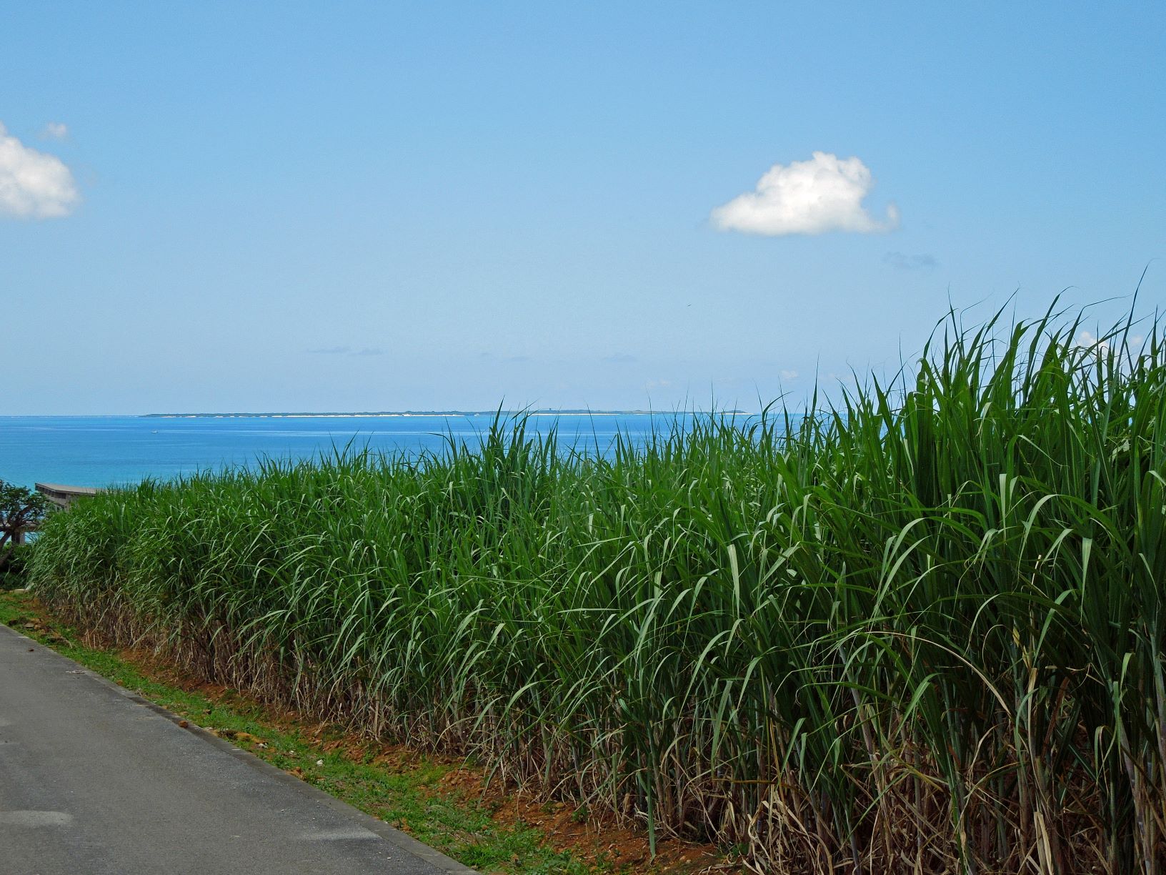 ～消費減少で在庫5,768ｔの黒糖産業を守る！沖縄黒糖応援プロジェクト～のサブ画像2
