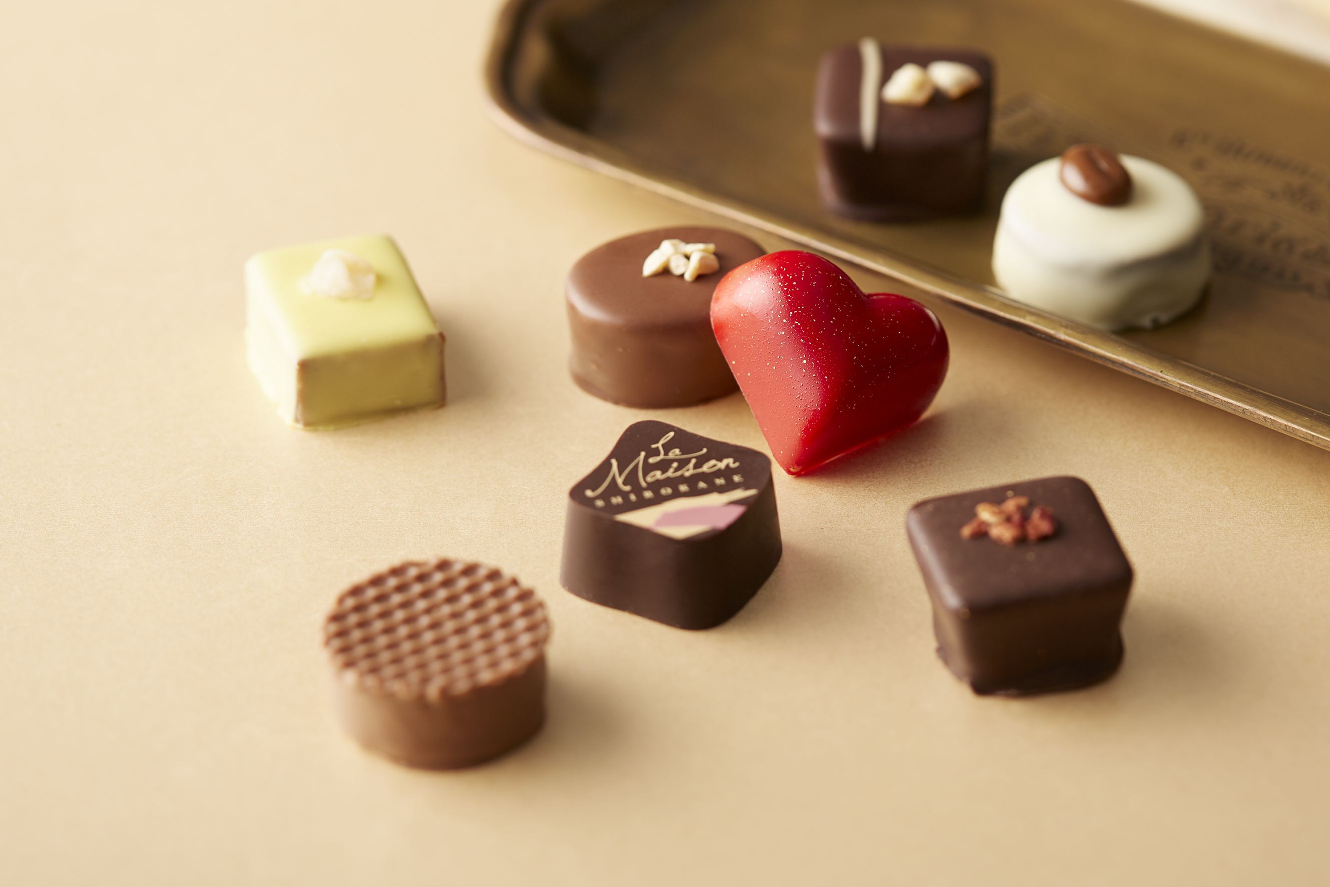 華やかなショコラで彩るバレンタイン！東京・白金の洋菓子ブランド「ラ・メゾン白金」のショコラコレクション2022のサブ画像5