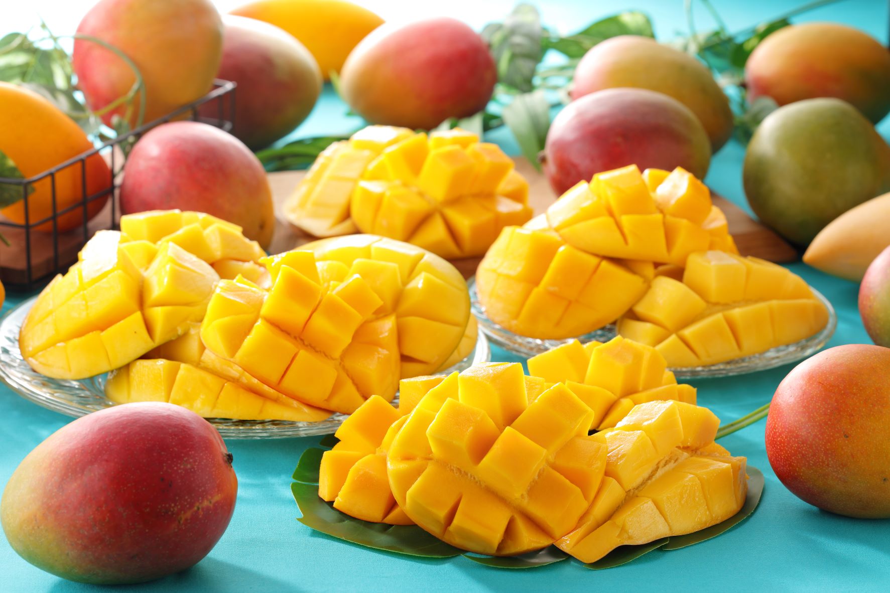 夏のフルーツを先取り♪毎年大人気のマンゴーが食べ放題に登場！4/5からのフルパラコースは「ブランドいちご＆マンゴー食べ放題」さらに、高級フルーツ「アールスメロン」をファーストプレートでお届け♪のサブ画像2