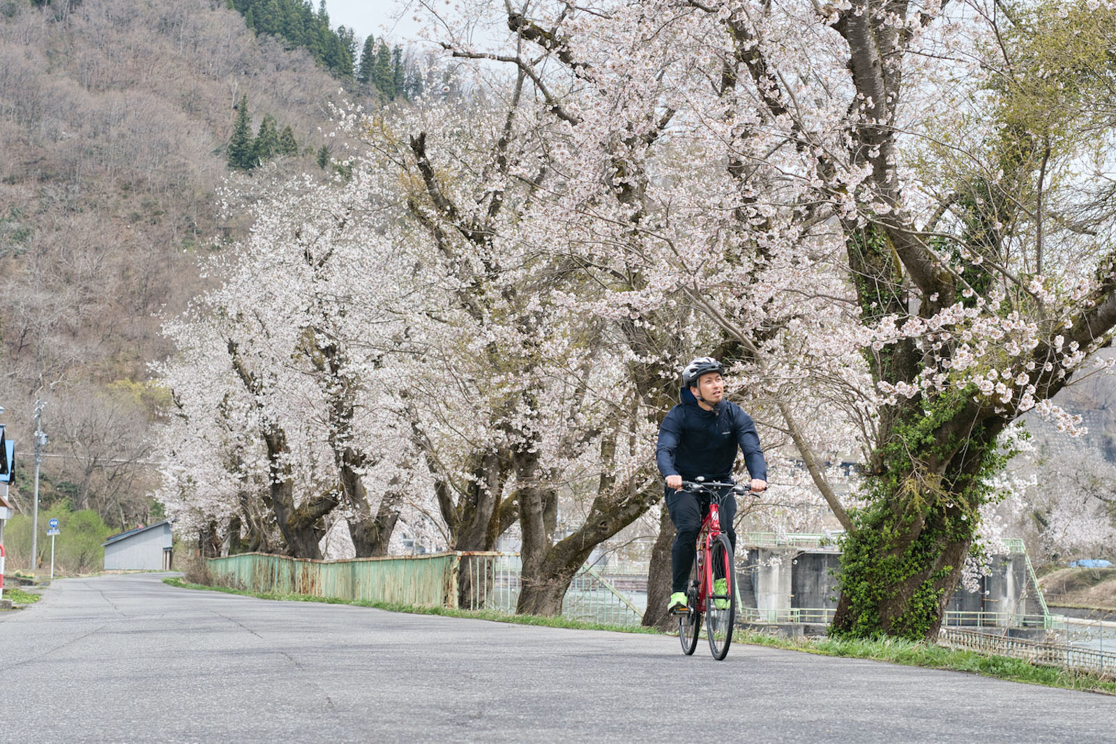 春のお出かけにオススメ！『GO!GO!千曲川スイーツサイクリング』4月1日より販売開始のサブ画像12
