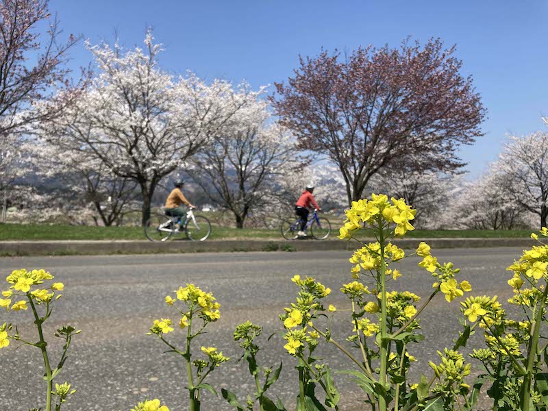 春のお出かけにオススメ！『GO!GO!千曲川スイーツサイクリング』4月1日より販売開始のサブ画像9