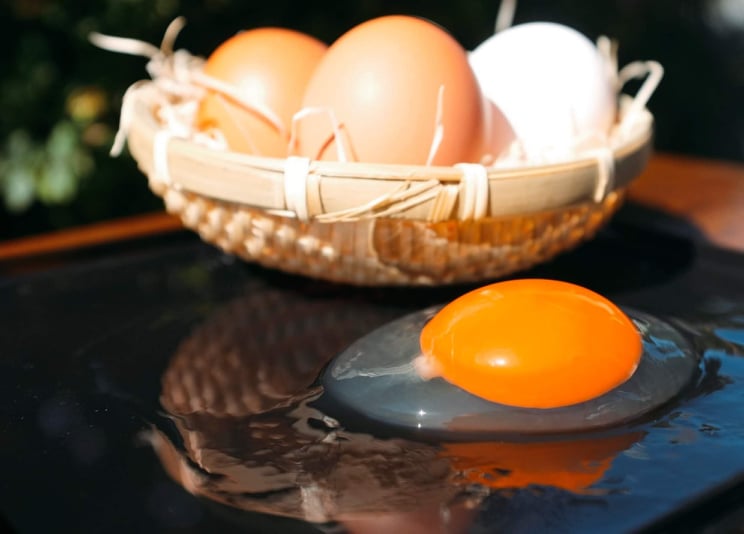 Minimalより、通常廃棄される「カカオハスク」を餌として再利用する、アップサイクルな取り組みでうまれたブランド卵「宝玉卵」を使った「カカオたまごのプリン」が4月1日から春限定で登場。のサブ画像3