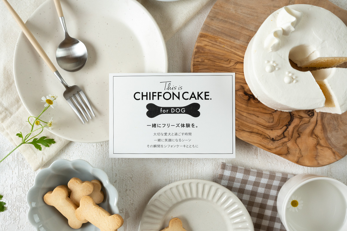 【新発売】シフォンケーキ専門店 This is CHIFFON CAKE. がワンちゃんのシフォンケーキ「CHIFFON for DOG」を発売のサブ画像1