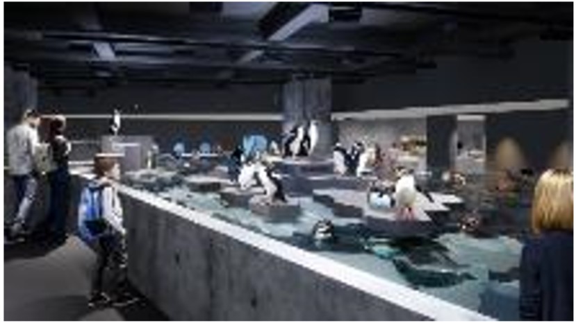 【札幌グランドホテル】× 新水族館 AOAO SAPPORO　夏を愉しむコラボレーションプロモーション企画のサブ画像9