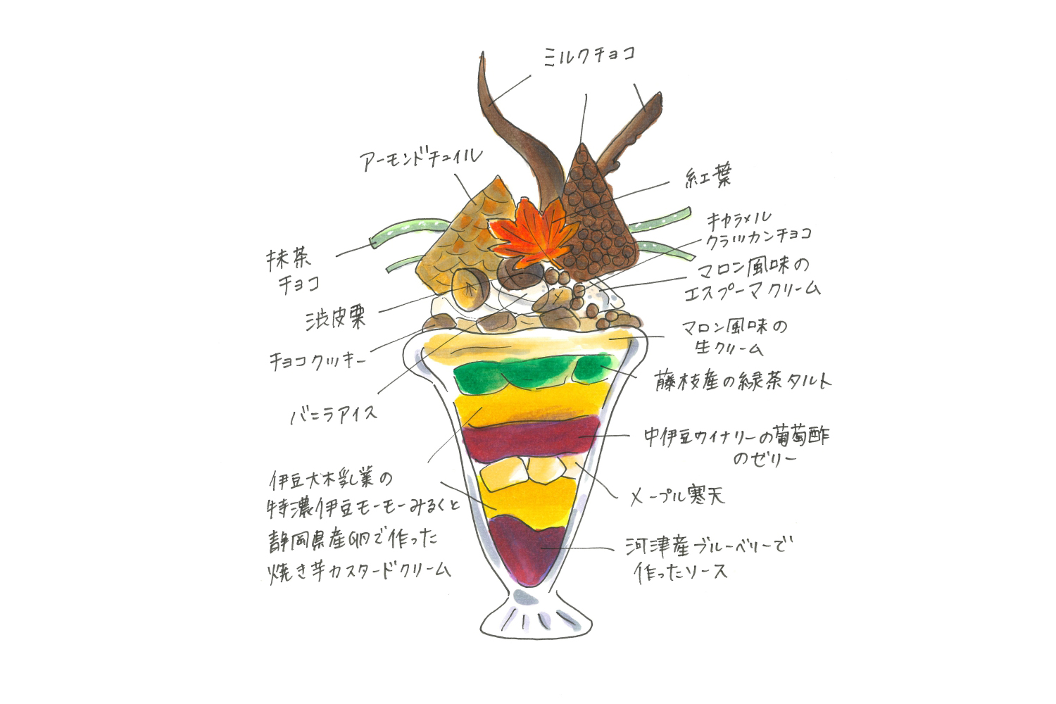 伊豆の食材を使用した秋の限定スイーツ・マロンパフェを販売のサブ画像4_パティシエ手描きのパフェイラスト