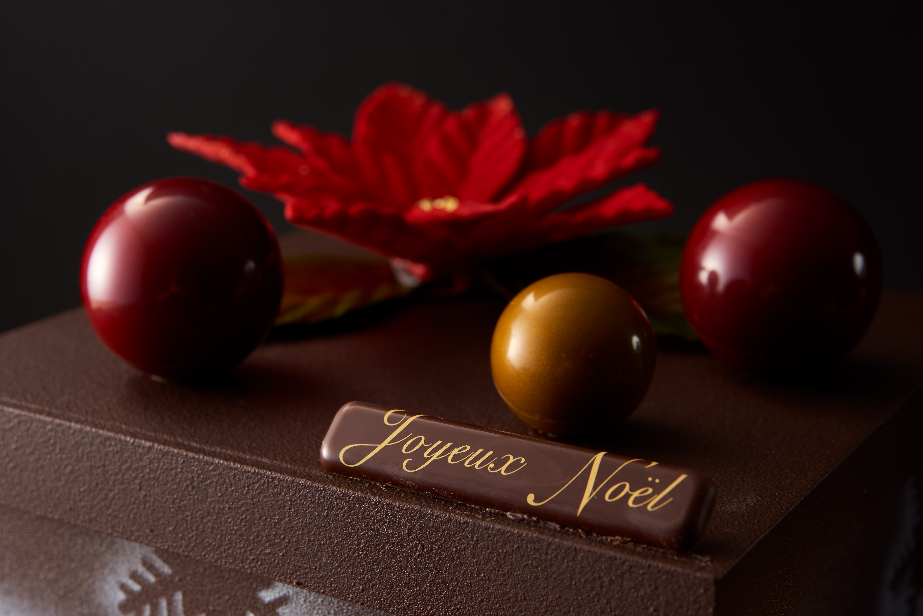 ベルギー王室御用達チョコレートブランド「ヴィタメール」特別なクリスマスケーキを販売いたしますのサブ画像2
