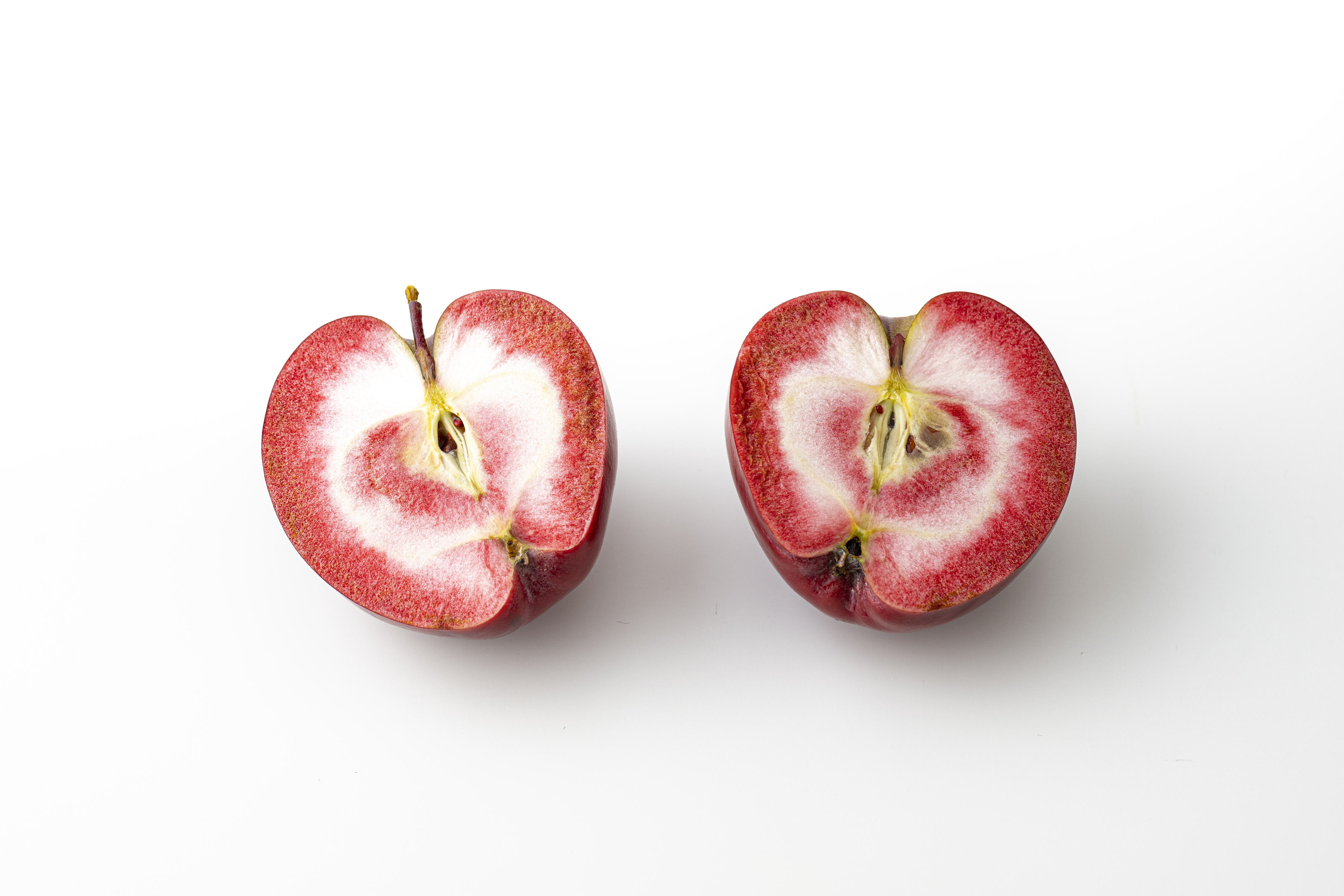 青森りんご専門店『à la ringo（あら、りんご。）』のクリスマス真紅が美しい“ジェネバ”品種を使用した至極のタルトタタンを販売のサブ画像2