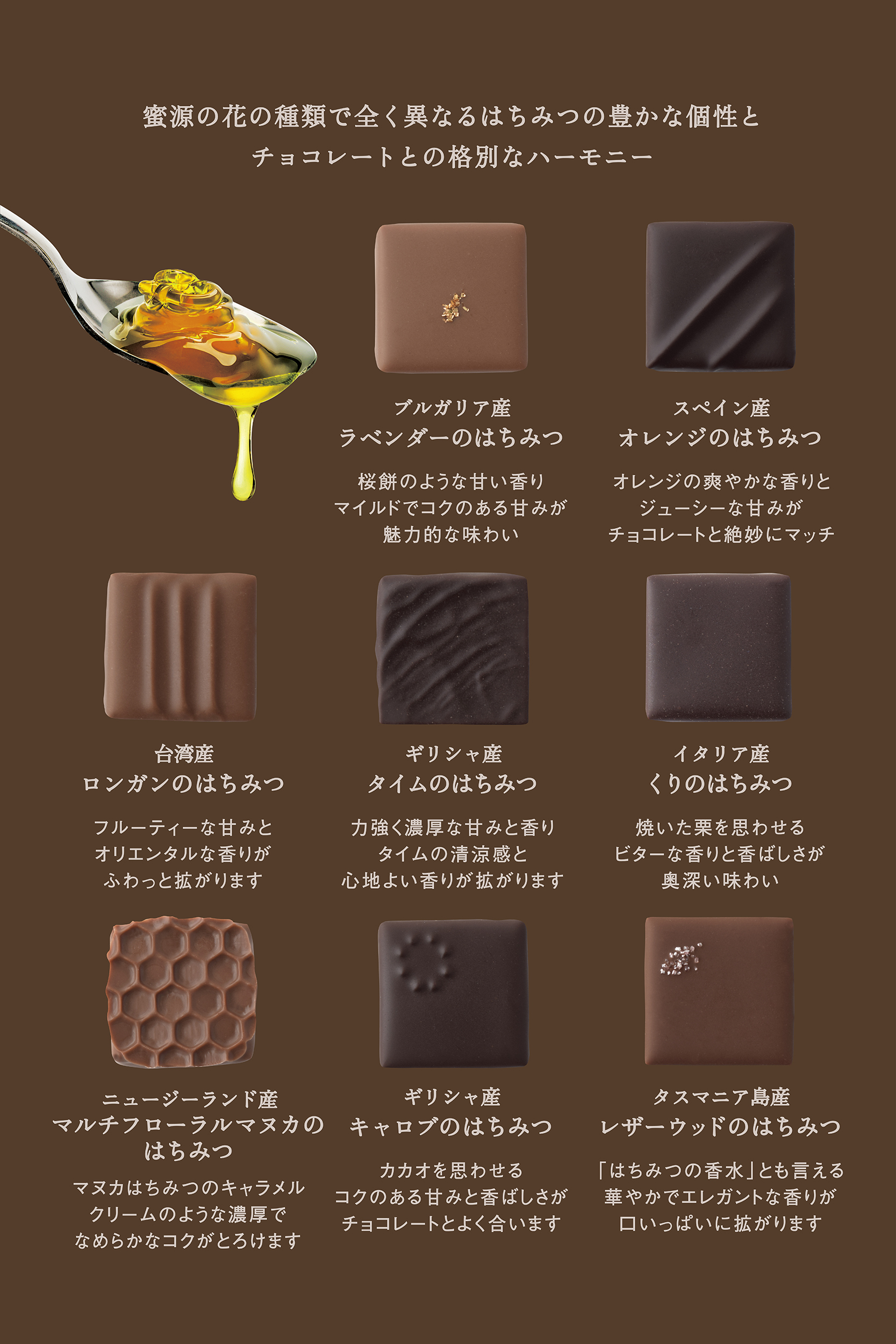 【L’ABEILLE】チョコレートに似た風味を持つ稀少な”キャロブ”はちみつや、はちみつを贅沢に練りこんだ“はちみつボンボンショコラ”が登場！「バレンタインギフト」のサブ画像8_はちみつボンボンショコラ説明