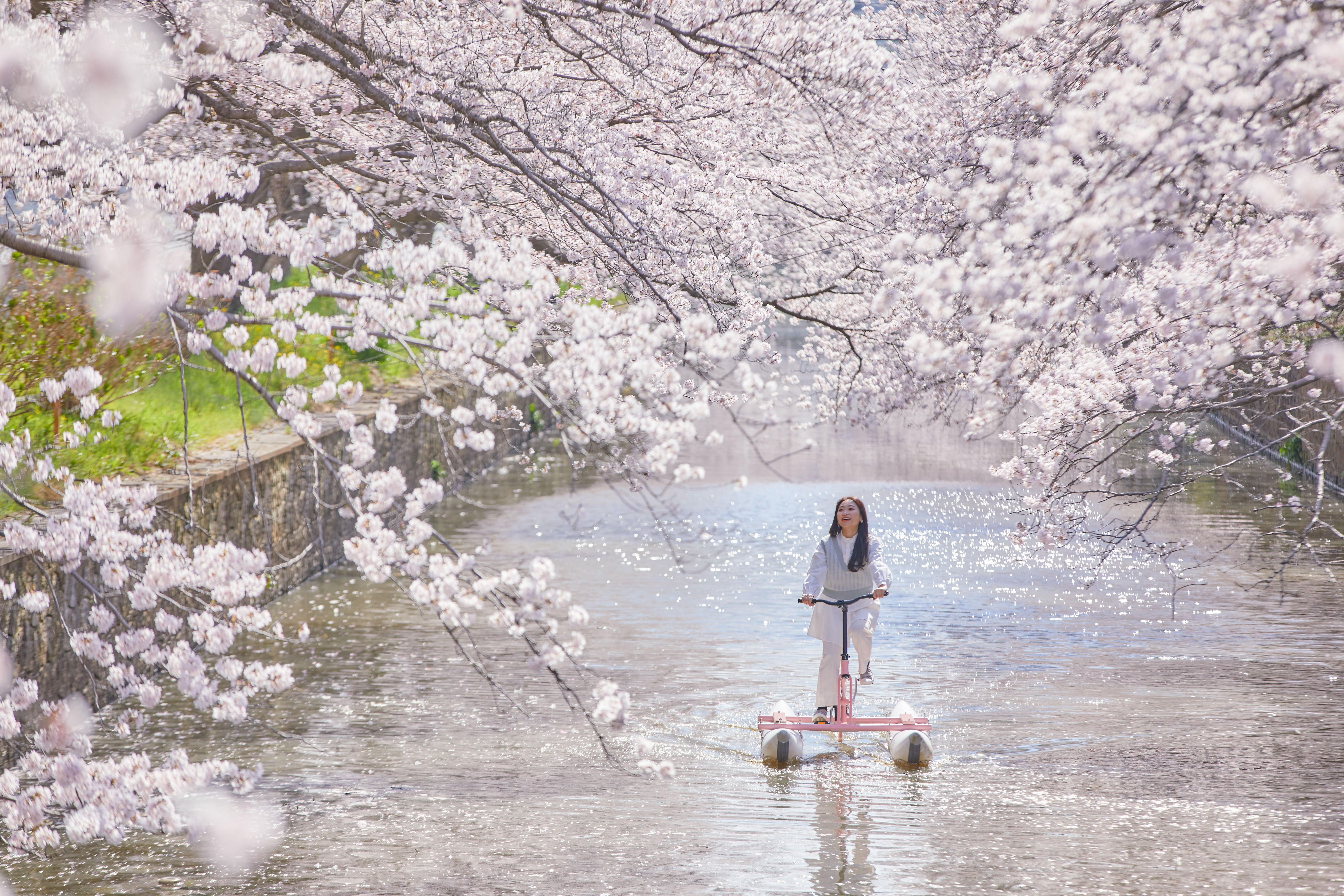 【星野リゾート　BEB5土浦】桜の絶景を川面から独り占め！「お花見水上サイクリング」今年も開催｜期間：2024年3月25日〜4月10日のサブ画像3_今年は二人乗りも登場