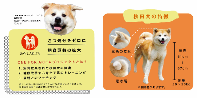 表情豊かな秋田犬が勢ぞろい！ かわいすぎて食べられないと人気の和風マシュマロに新作「秋田犬ほうずい」と「ハチのほうずい」がYOU+MORE!［ユーモア］から登場のサブ画像10